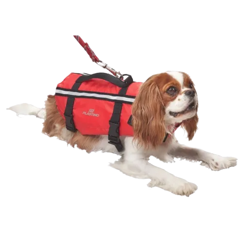 Plastimo Schwimmweste für Hunde Größe M