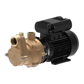 Forani & Pecorari Elektropumpe AT25 EM4M50 230V M