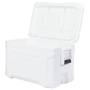 Raffreddatore Igloo Marine Profil II 50 (47 litri)