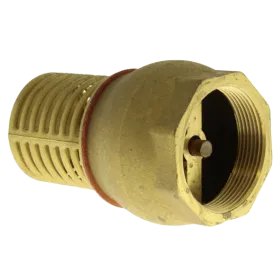 2 inch brass check valve strainer
