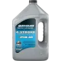 Óleo de motor marítimo Quicksilver Mineral 4 tempos FCW 25W40 4L