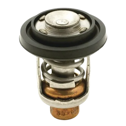 Termostato Sierra Marine per motori Evinrude, Johnson modello 18-3543