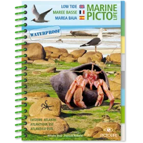 Pictolife marine book low tide East Atlantic