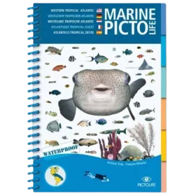 Pictolife Atlantic marine book tropical west