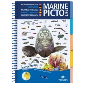 Pictolife Mediterranean Sea Marine Book