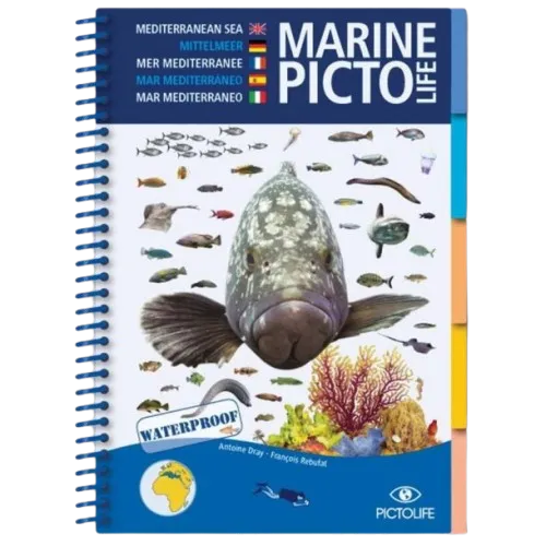 Pictolife Mediterranean Sea Marine Book