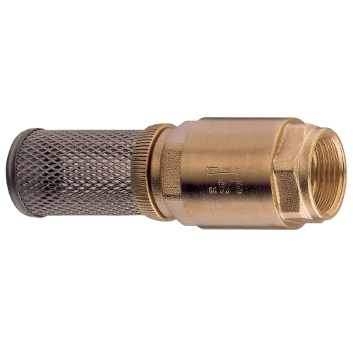 GUIDI Rückschlagventil POM/NBR Messing PN16 Edelstahlkorb 1 Zoll 1/4