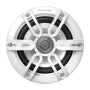 Pioneer Marine-Subwoofer TS-ME100WS 900W