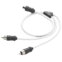JL Audio RCA Y Cable 1 female jack + 2 male plugs
