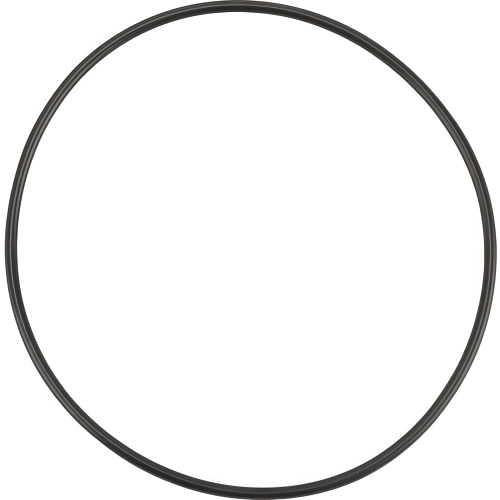 Guarnizione O-ring Eberspächer 74x3