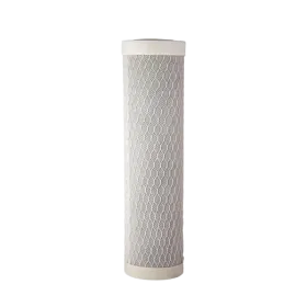 Spectra 9 ¾ inch actieve koolpatroon