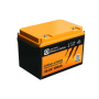 LIONTRON Batterie LiFePO4 LX Smart BMS 25,6 V 100Ah