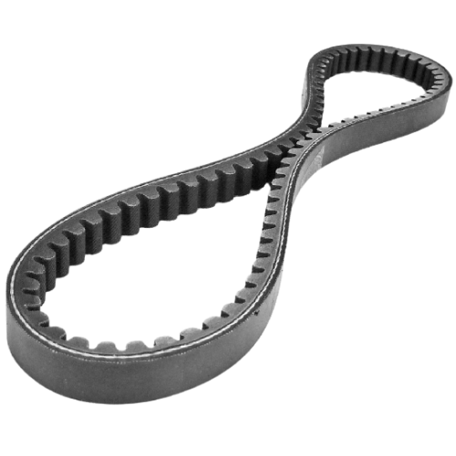 Courroie crantée 210L050 pour Aqua-Base X 12 Vcc